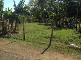 Hertford Petersfield, Westmoreland, Jamaica - Residential lot for Sale